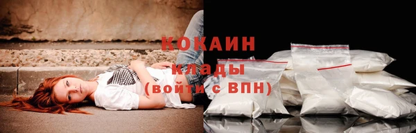 ПСИЛОЦИБИНОВЫЕ ГРИБЫ Алексин