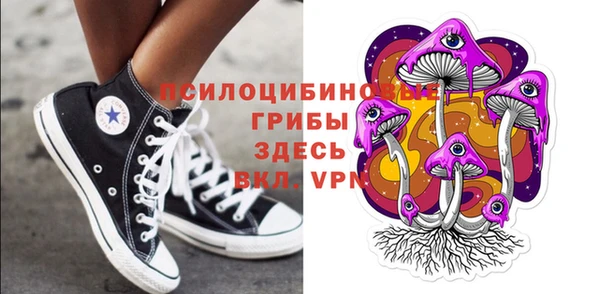 ПСИЛОЦИБИНОВЫЕ ГРИБЫ Алексин